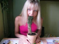devishka_zhret_cactus.webp