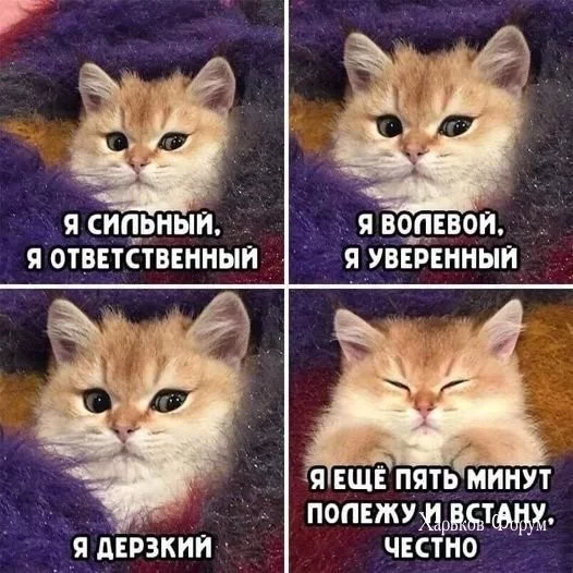df1fc88c45ec2c3f0bd.webp