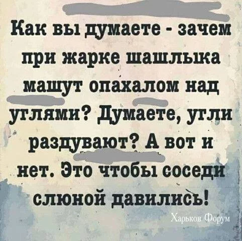 df318549929cf5dfd61d.webp
