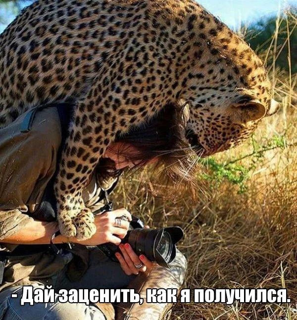 df4fgd.webp