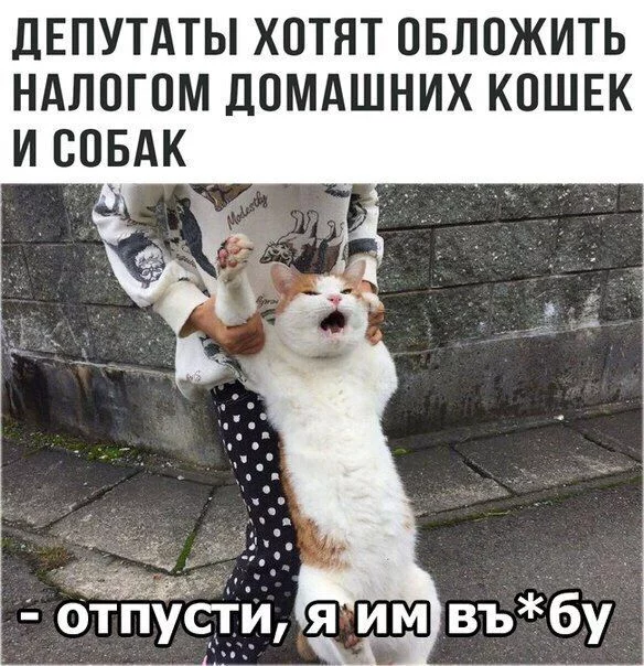 df6aae.webp