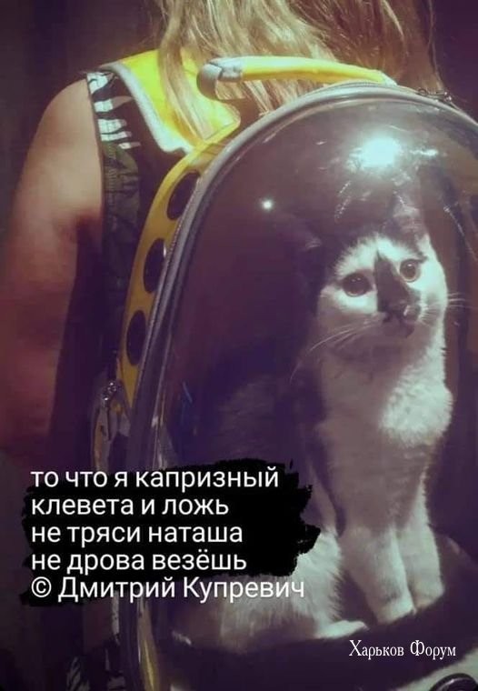 df8e376bd5975b1d9dcb1b.jpg