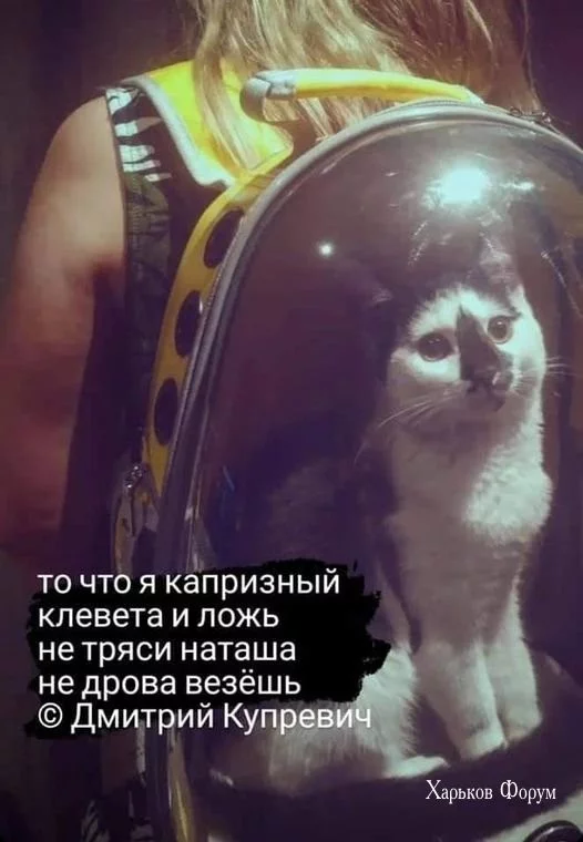 df8e376bd5975b1d9dcb1b.webp