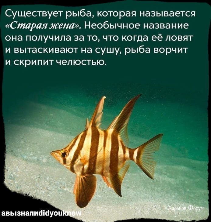 df8e4e7f0647163c6f13ac0c.jpg