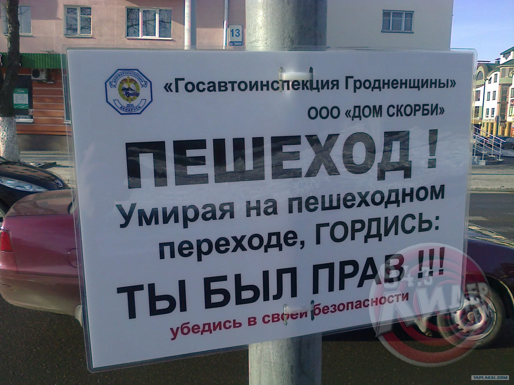 df8gjh.webp