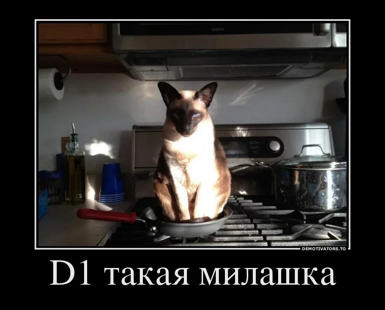 df9db2300361335ab26d9661076b8b86.webp