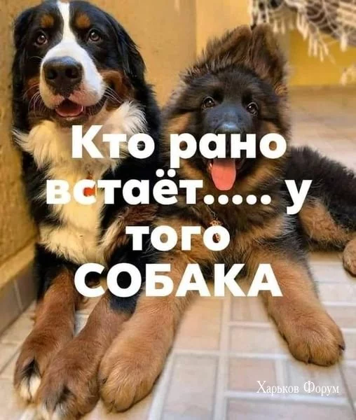df9edb00bd8dcb0b7047d.webp