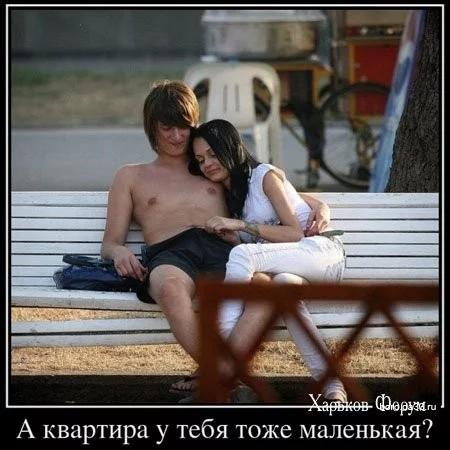 dfaf59f80b7cac06bf5235.webp