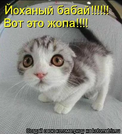 dfb4cf.webp