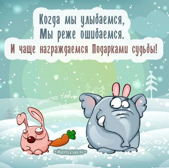 dfbd6j.webp