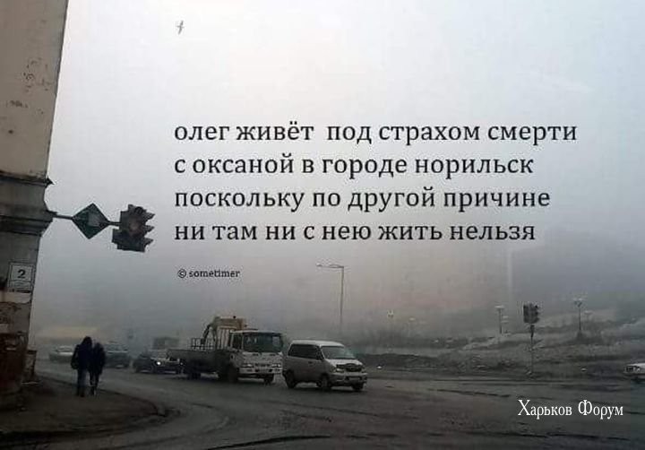 dfc13e1e63e4849e5da7162.jpg