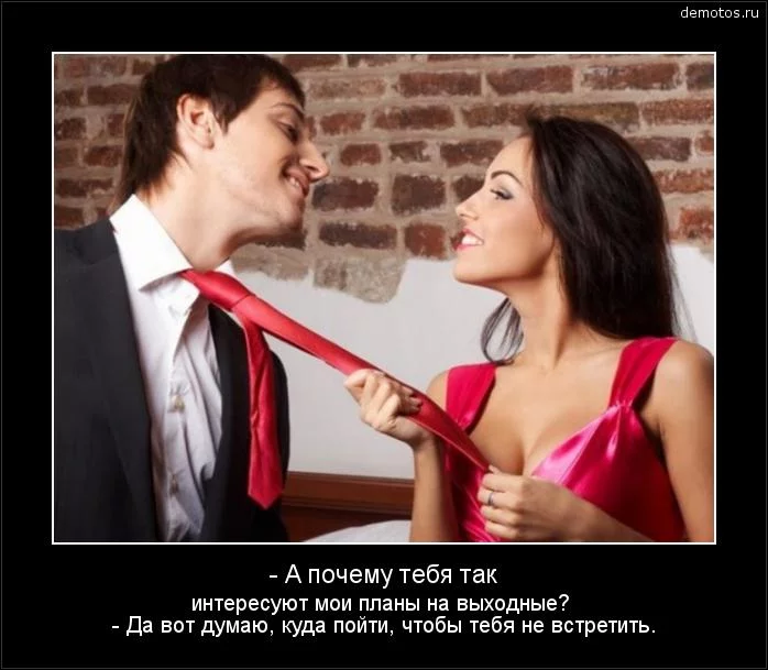 dfcdg4.webp