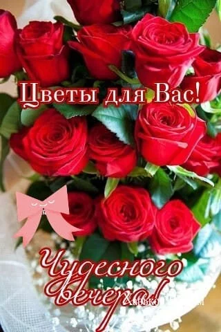 dfd0dfbed4c5821400a0c.webp
