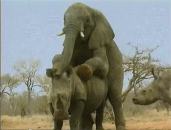 dfddaf98c21cb5c5f50f.gif
