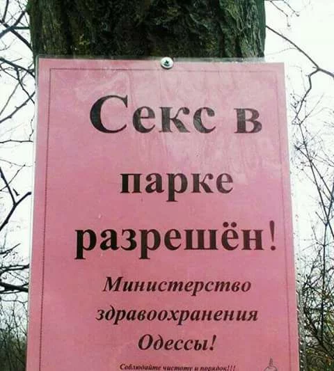 dfdh7h.webp