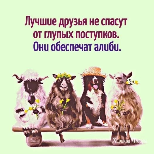 dfede34d55fa9f085987.webp
