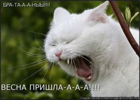 dffaa2.webp