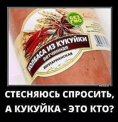 dffhj4.jpg