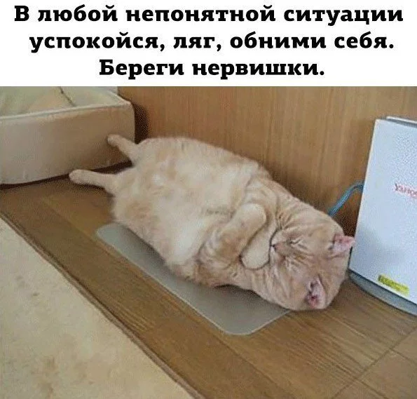 dfgfh5.webp