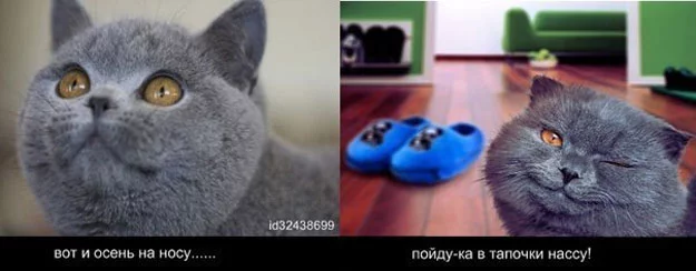 dfgg11.webp