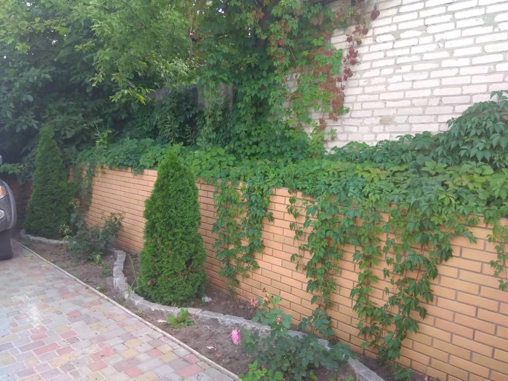 dfh8ag.webp