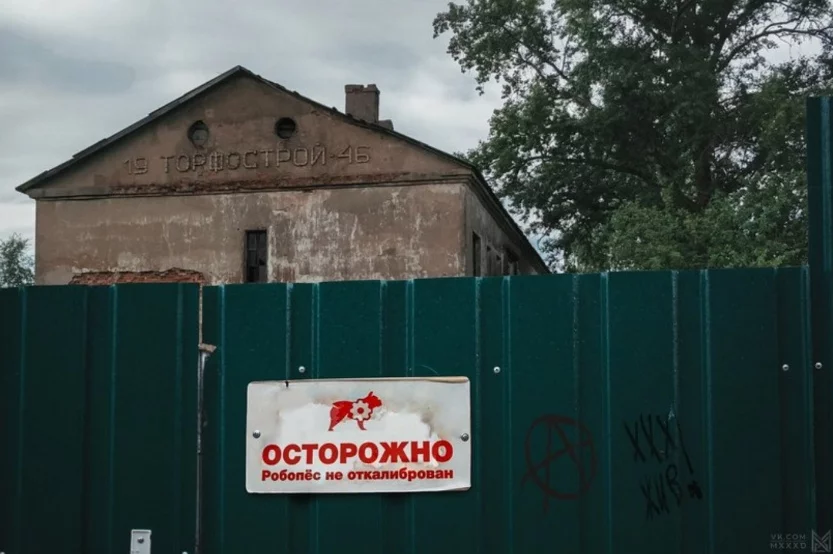 dfhgh9.webp