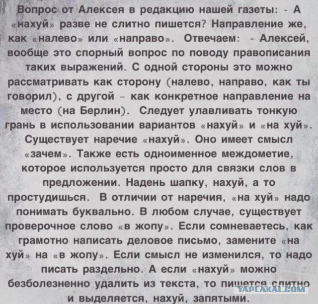 dfhhd4.webp