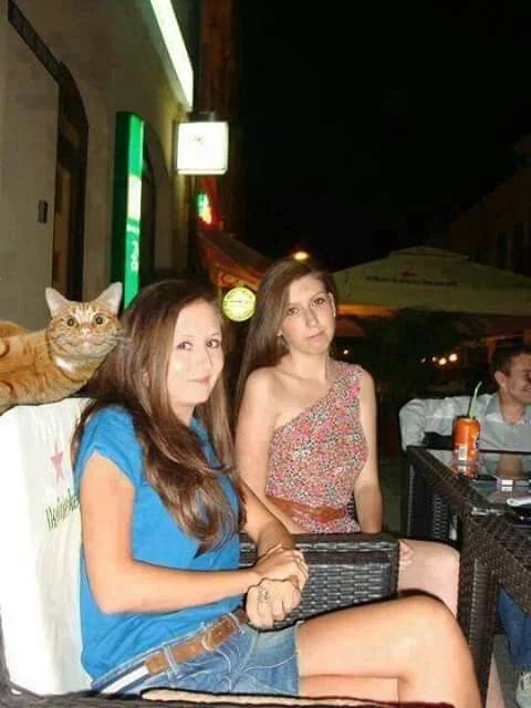 dfjb2d.webp