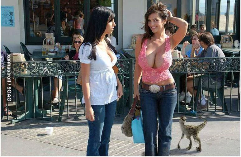 dfjj0f.webp