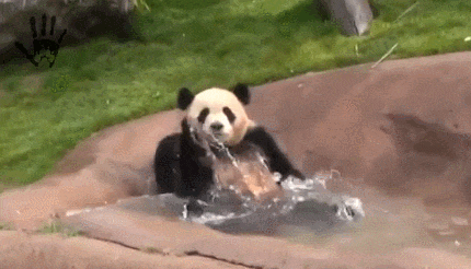 dg1afj.gif