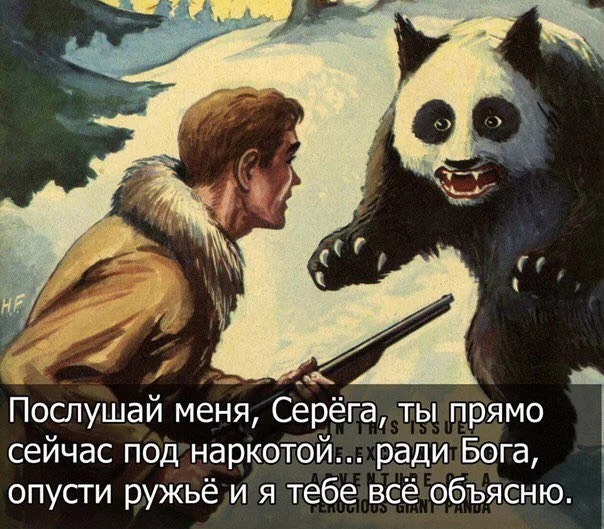 dg1bch.webp