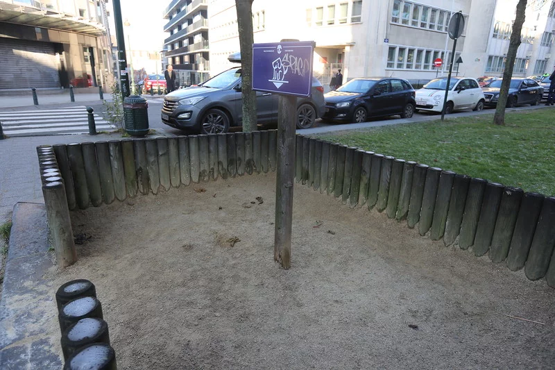 dg1jdd.webp
