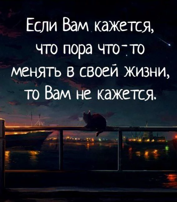 dg1jgf.webp
