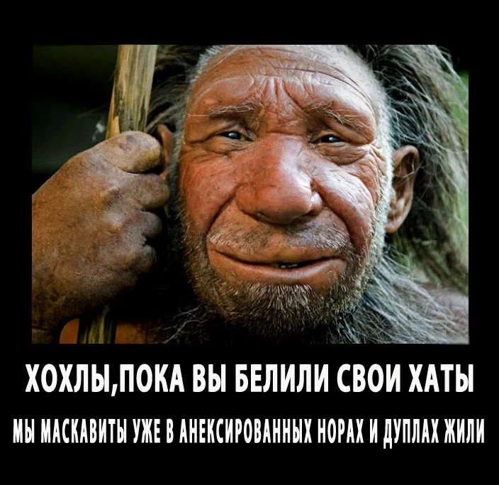 dg2jdg.webp