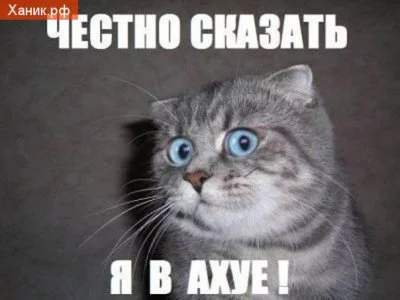 dg2jgj.webp