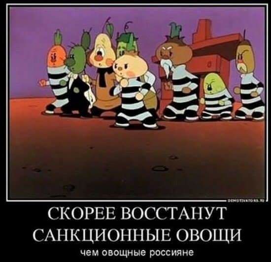 dg3chb.jpg