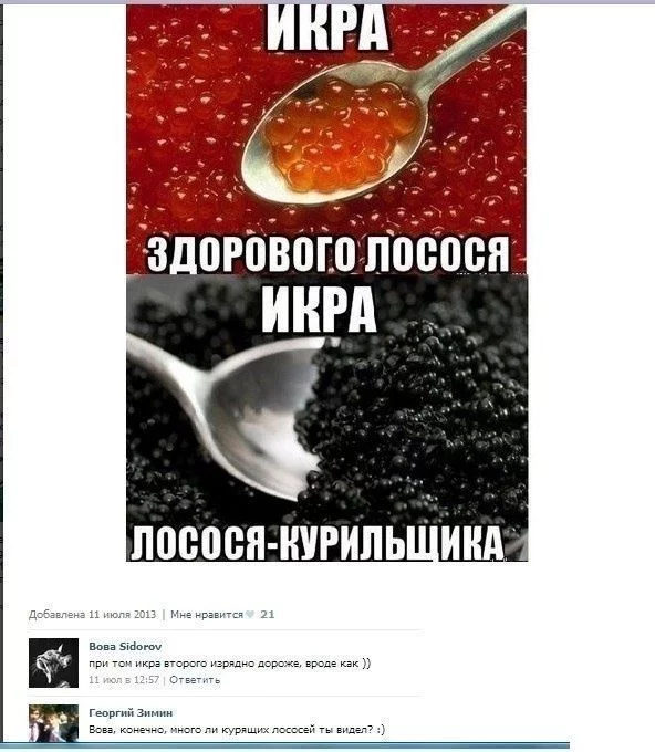 dg6gfh.webp