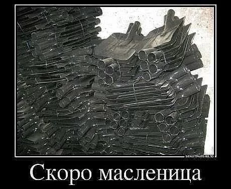 dg8dcb.webp