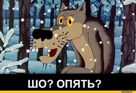 dg8hfh.webp