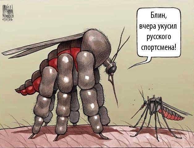 dgaec3.jpg