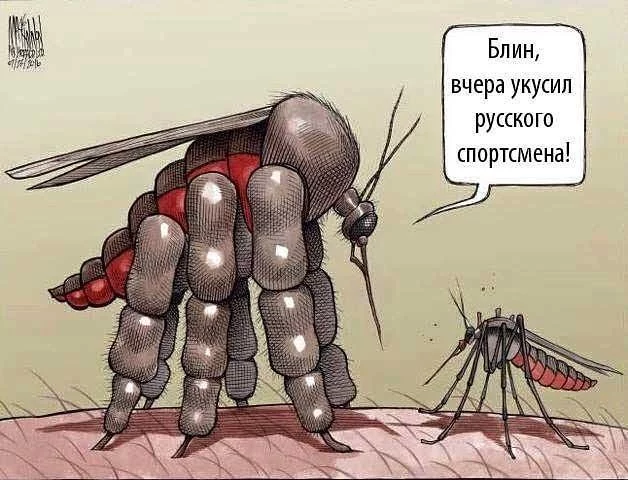 dgaec3.webp