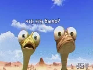 dgah2c.webp