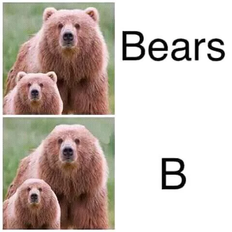 dgbdf1.webp