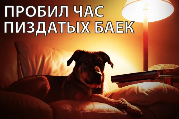 dgc4gb.webp