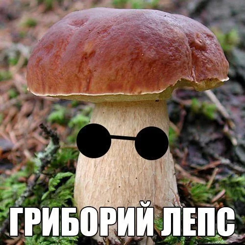 dgdg8c.webp