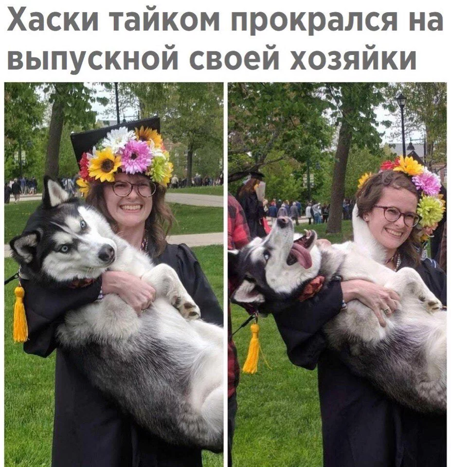 DGdOZ3qCOVw.webp