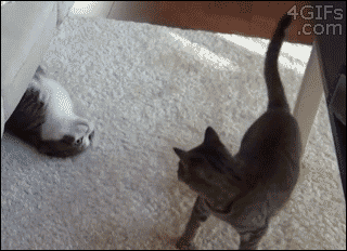 dgeb2b.gif