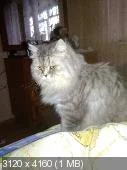 dgejb6.webp