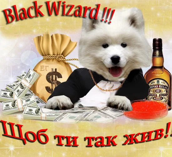 dgfeg8.webp