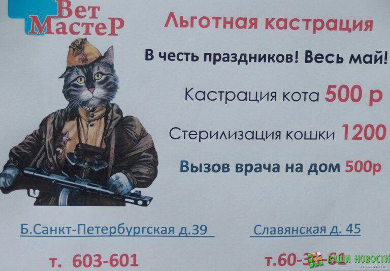 dgfjg9.webp